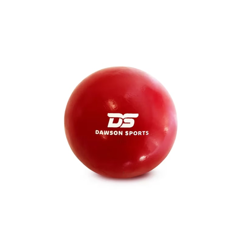 Dawson Sports School Cast-Iron Shot Put- 7.6 kg (color may vary)
