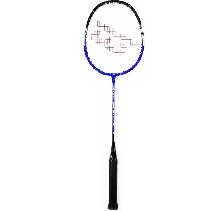 Dawson Sports Badminton Racket