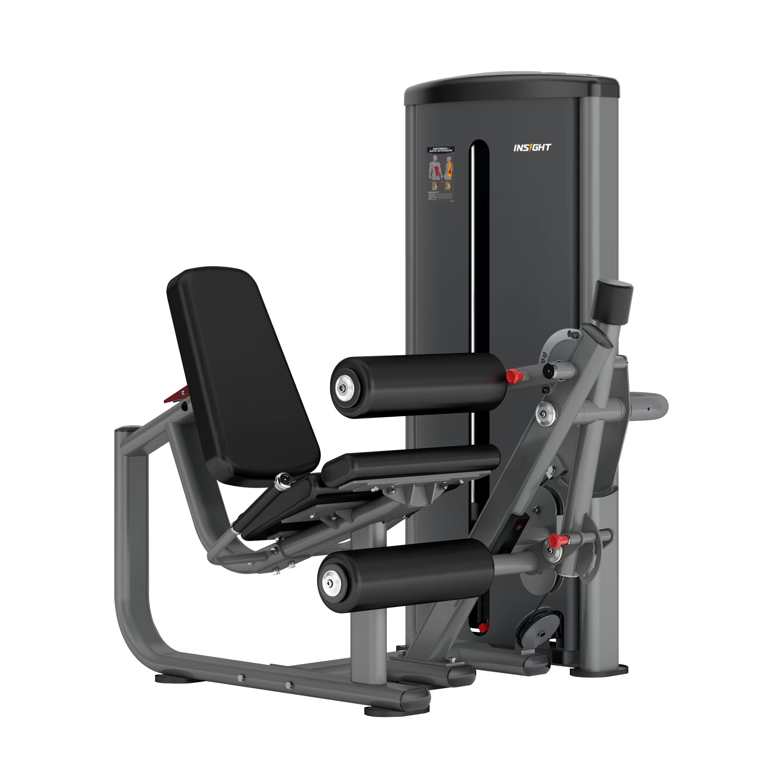 Insight Fitness BS Series BS008 LEG CURL/EXTENSION