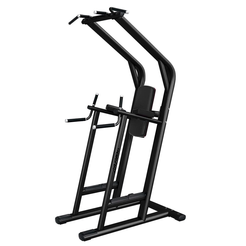 Life Fitness Signature Chin Dip Leg Raise, Black