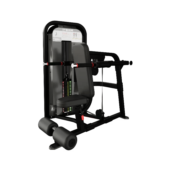 Nautilus Impact Dip Machine