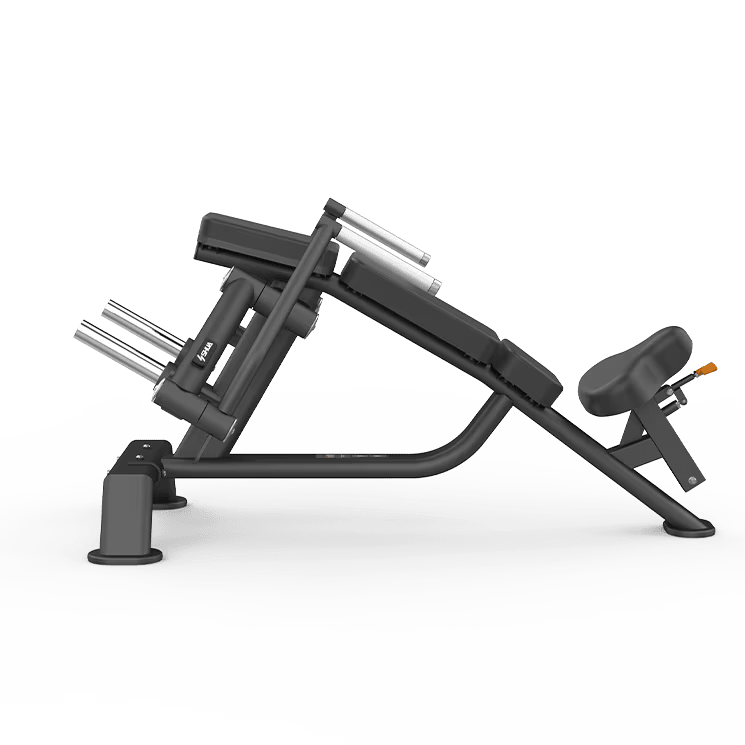 Shua 69 Series Iso Inclined Flight Machine SH-G6919
