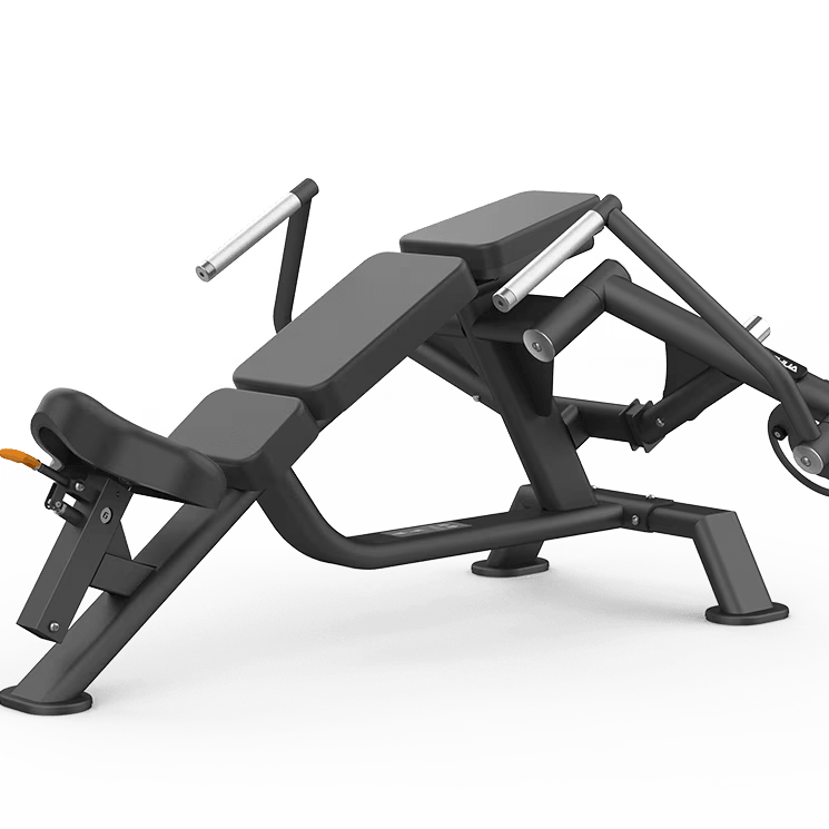 Shua 69 Series Iso Inclined Flight Machine SH-G6919