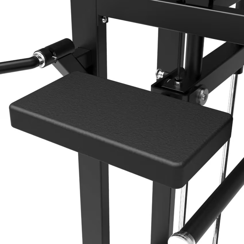 Tunturi Platinum Dual Assisted Chin Up/Dip - V-series