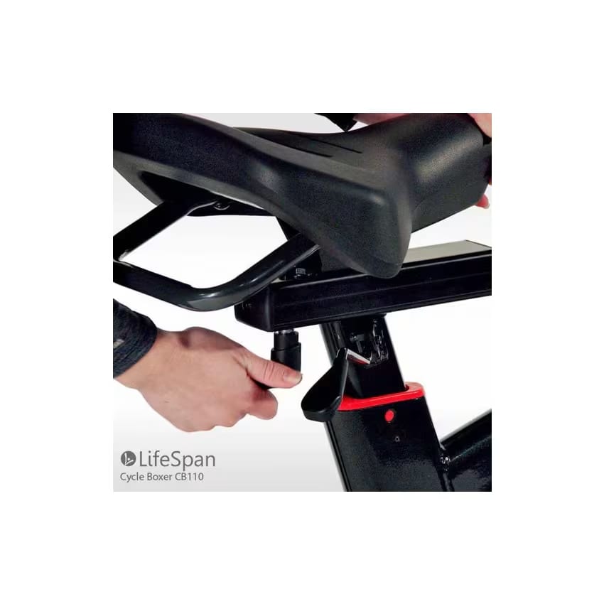 Lifespan Cycle Boxing Bike CB110