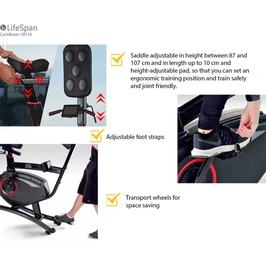 Lifespan Cycle Boxing Bike CB110