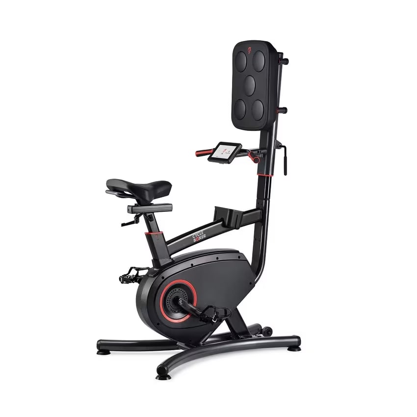 Lifespan Cycle Boxing Bike CB110