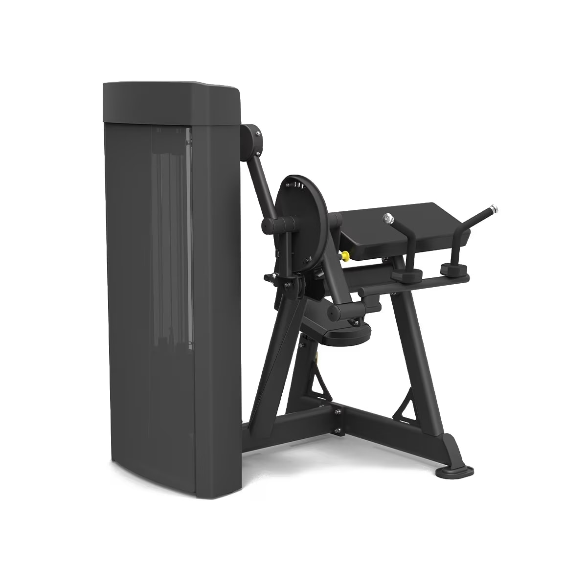 Spirit Fitness Biceps Curl & Triceps Extension - Dual Arm Strength Trainer