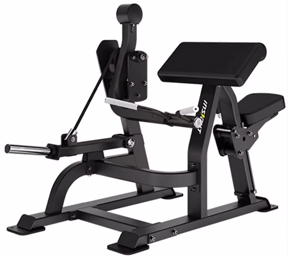 Insight Fitness AH021 Biceps Curl