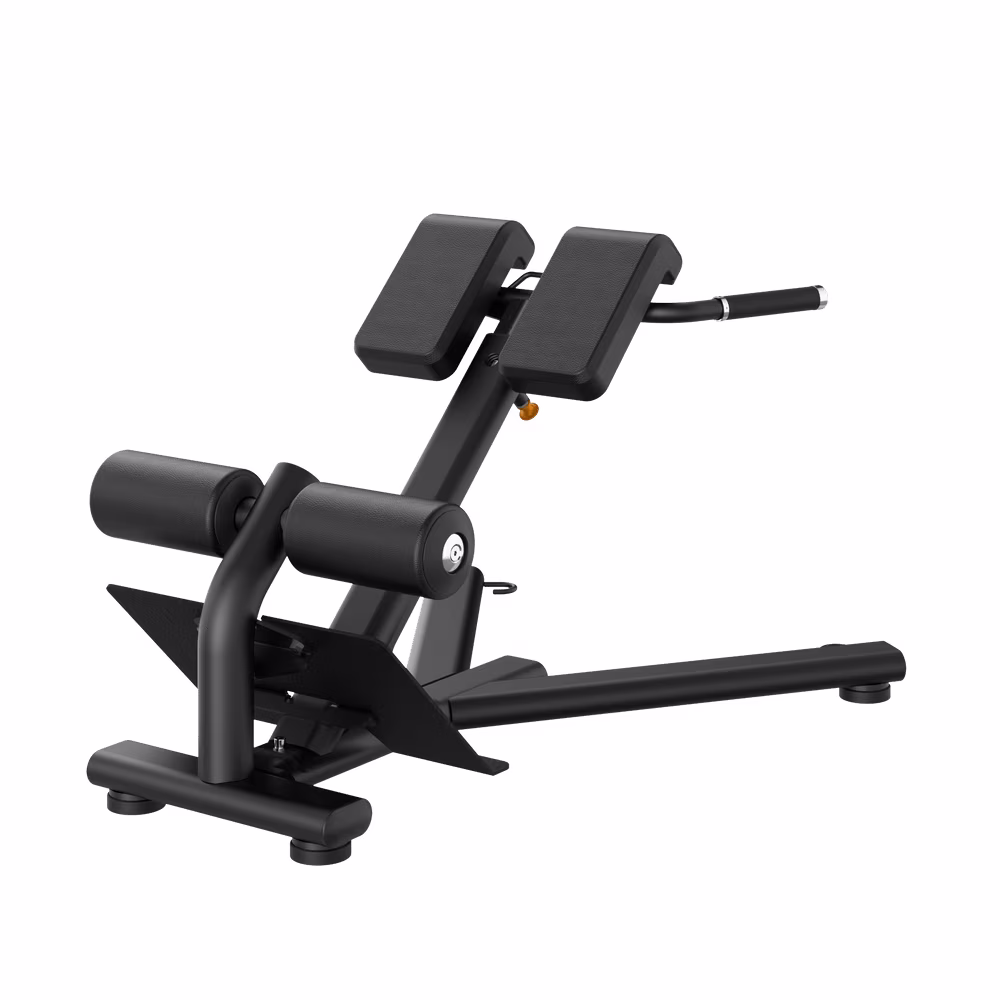 Insight Fitness RE Series Commercial Back Extension RE6010
