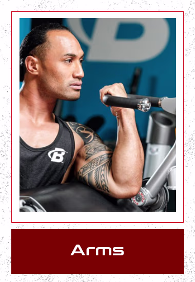 arms