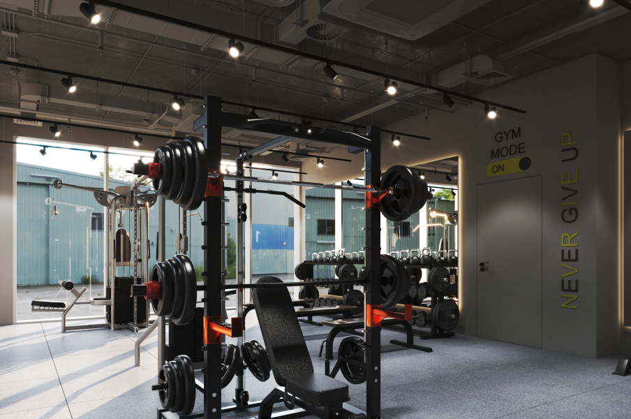 Commercial Gym Setup Support