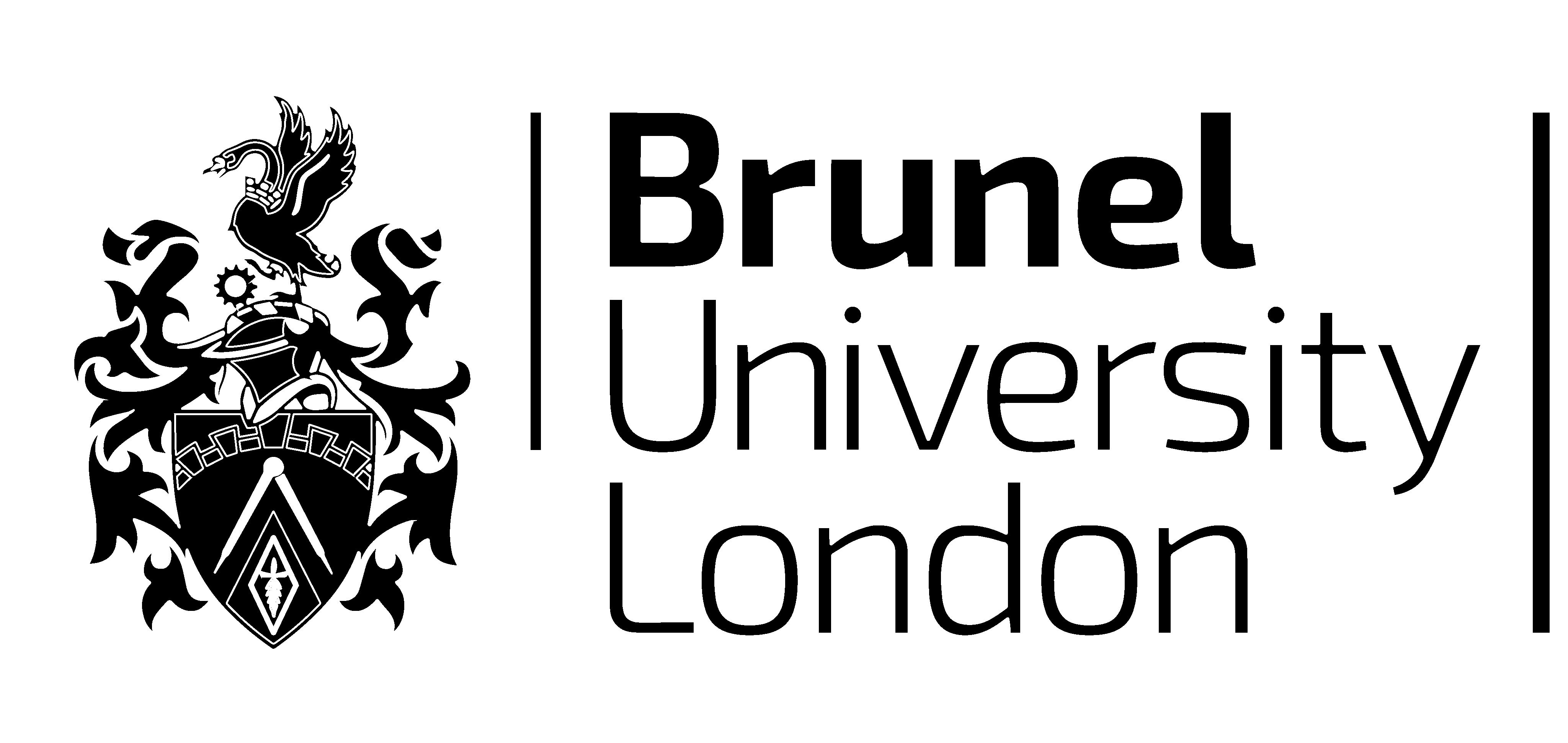 Brunel University