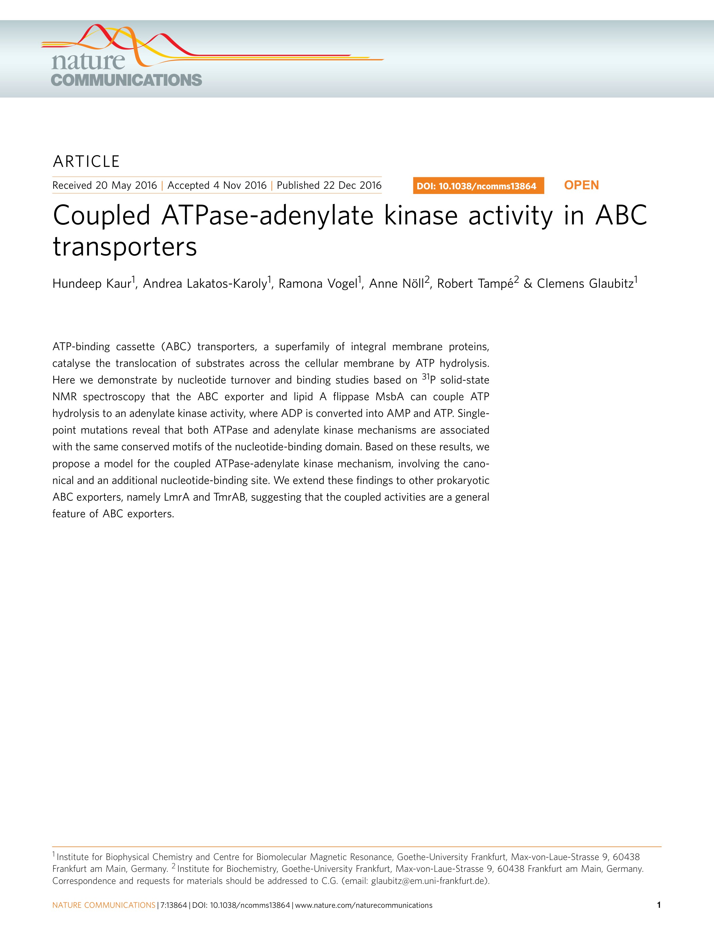 Coupled ATPase adenylate kinase activity in ABC transporters
