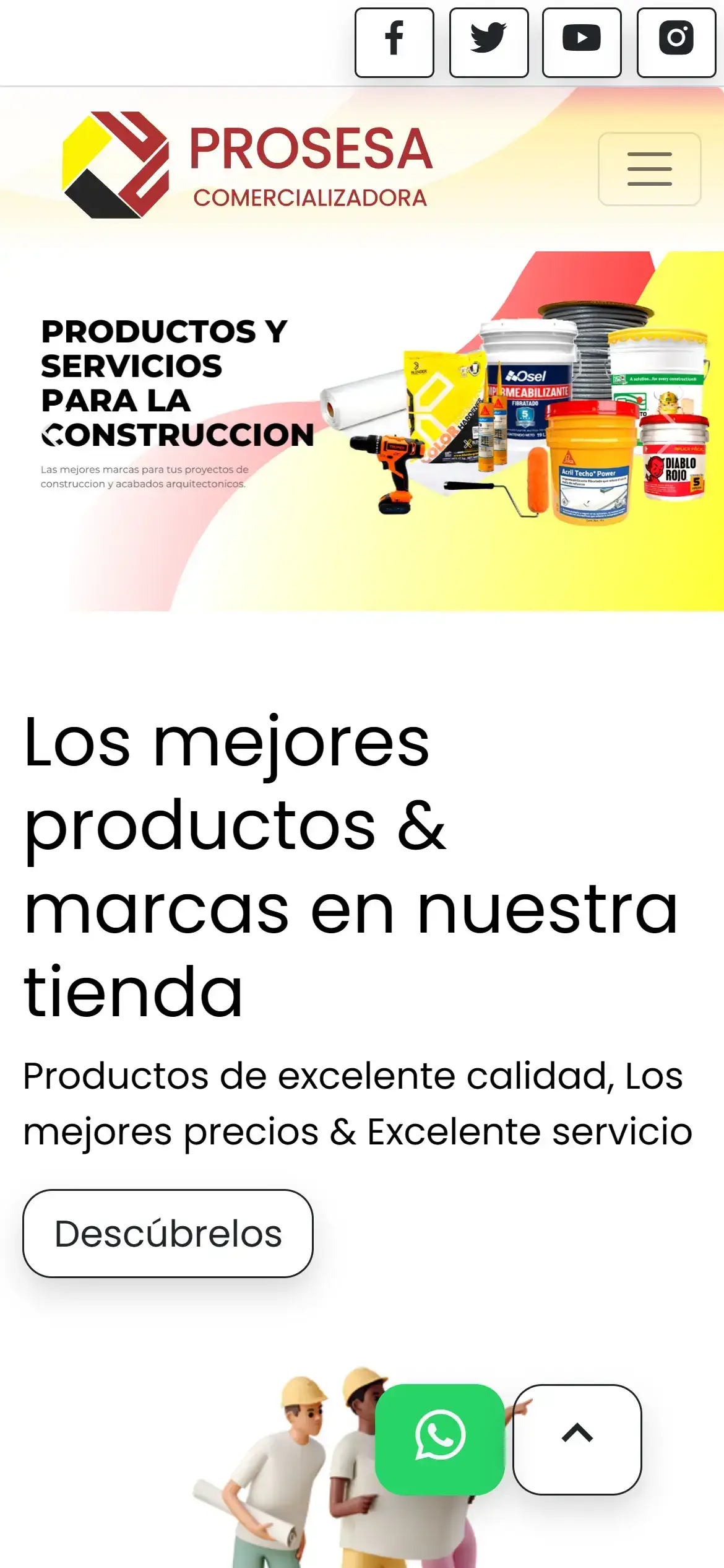 Imagen de la web Prosesa Comercializadora