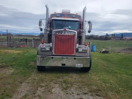 2016 KENWORTH, W900 - Image #2