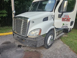 2013 FREIGHTLINER, CASCADIA 113 - Image #5