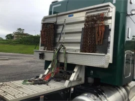 2021 PETERBILT, 389 - Image #4
