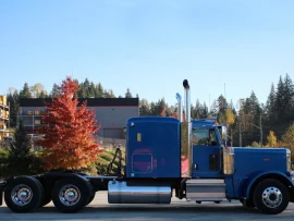 2018 PETERBILT, 389 TANDEM HIGHWAY TRACTOR  - Image #4