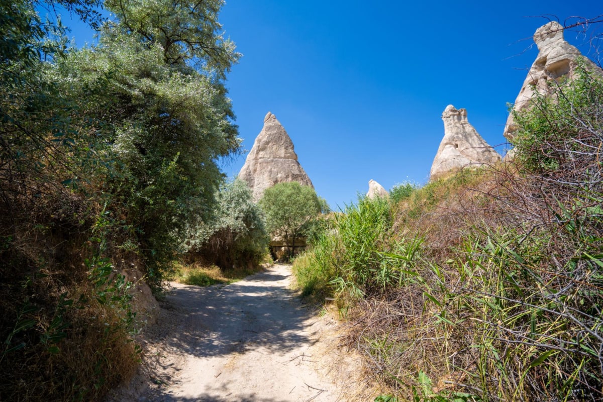 Rose Valley (Güllüdere Vadisi)