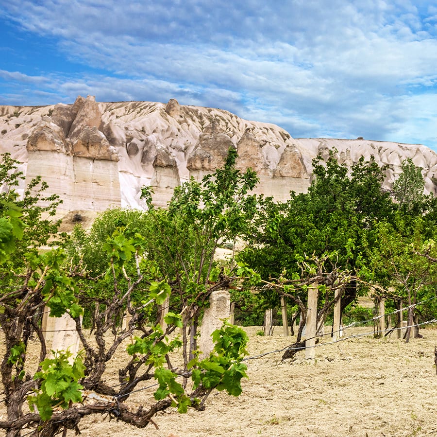 Best Things to Do in Cappadocia (Beyond the Balloon)