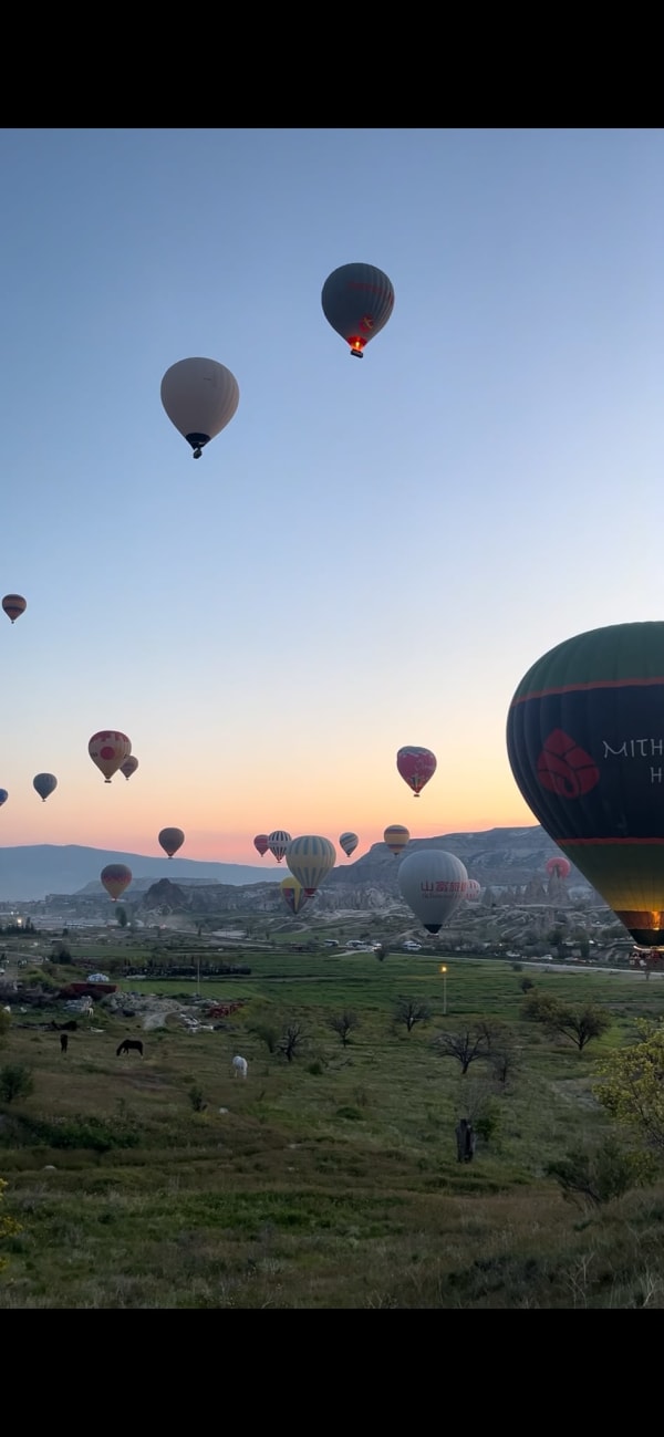 Museum Road Balloon Viewpoint