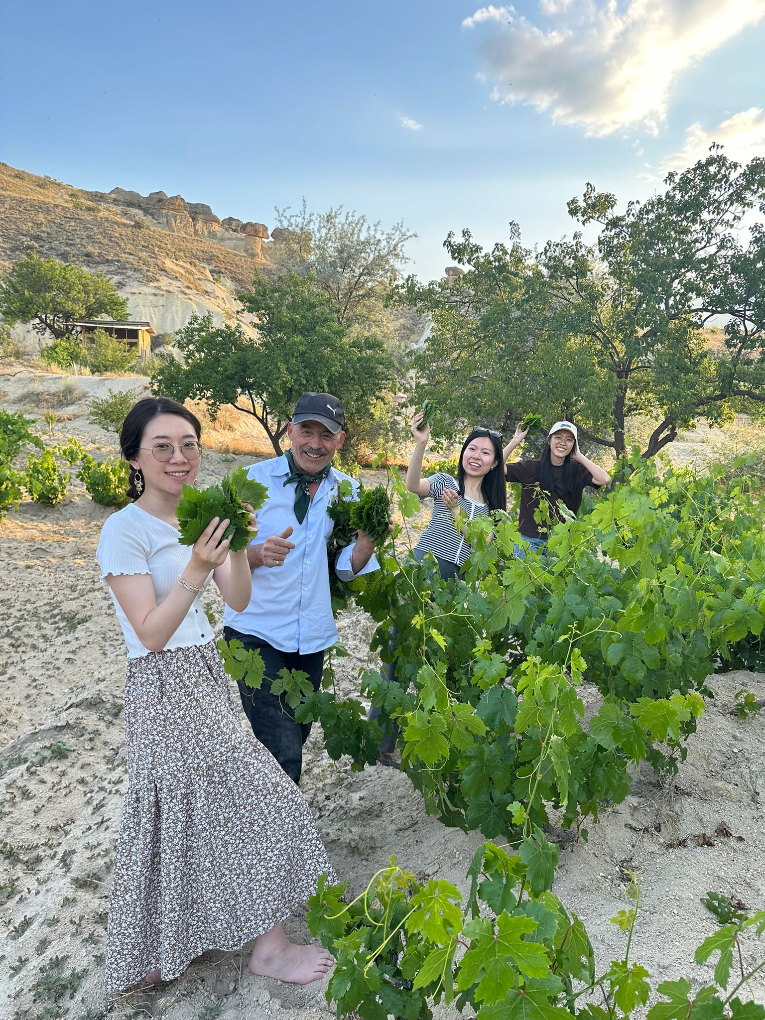 Cappadocia Vineyard Tour (Local Farming & Organic Experience) experience