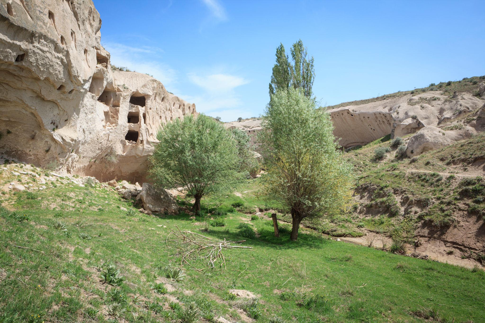 Valle de Çat
