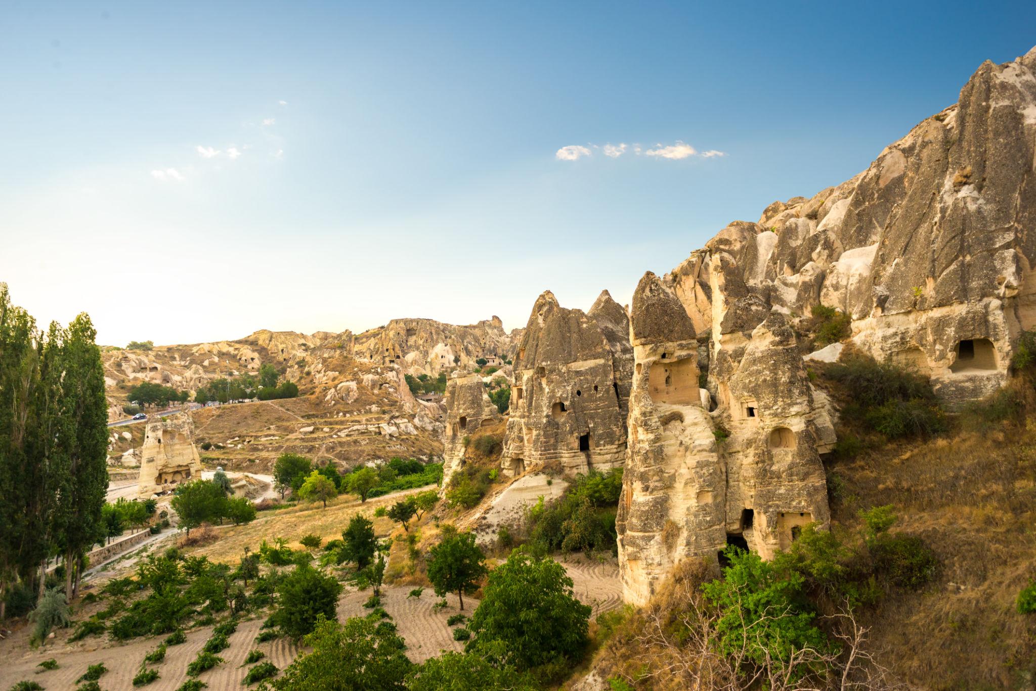 Cappadocia Vineyards