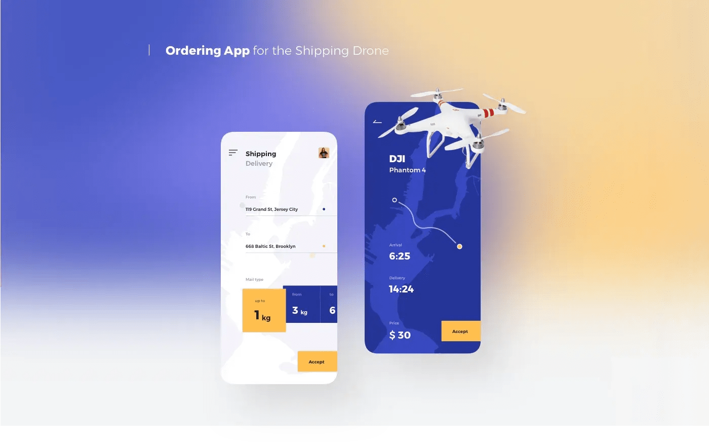 Concepts Pack Project - Branding & UX UI Design