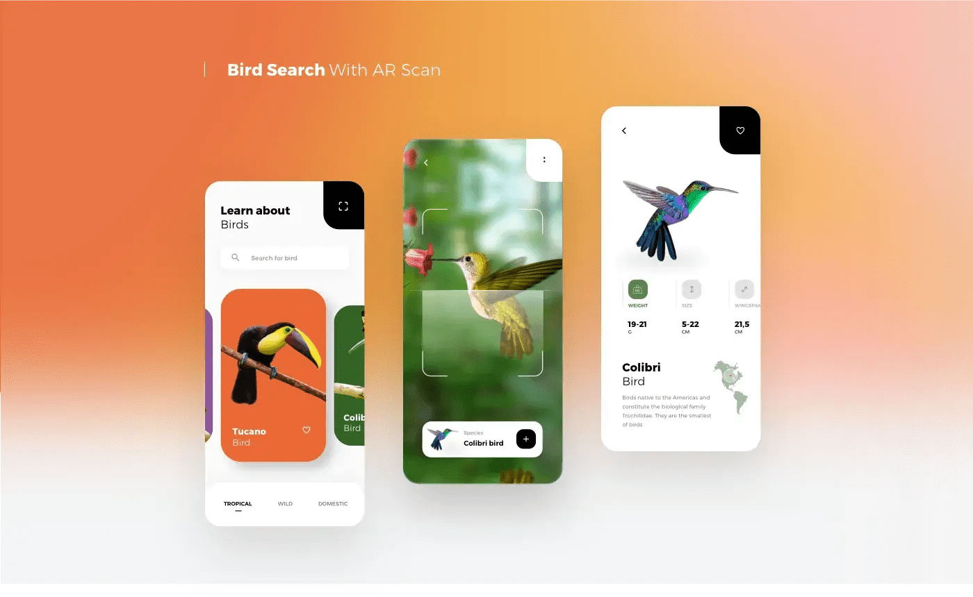 Concepts Pack Project - Branding & UX UI Design