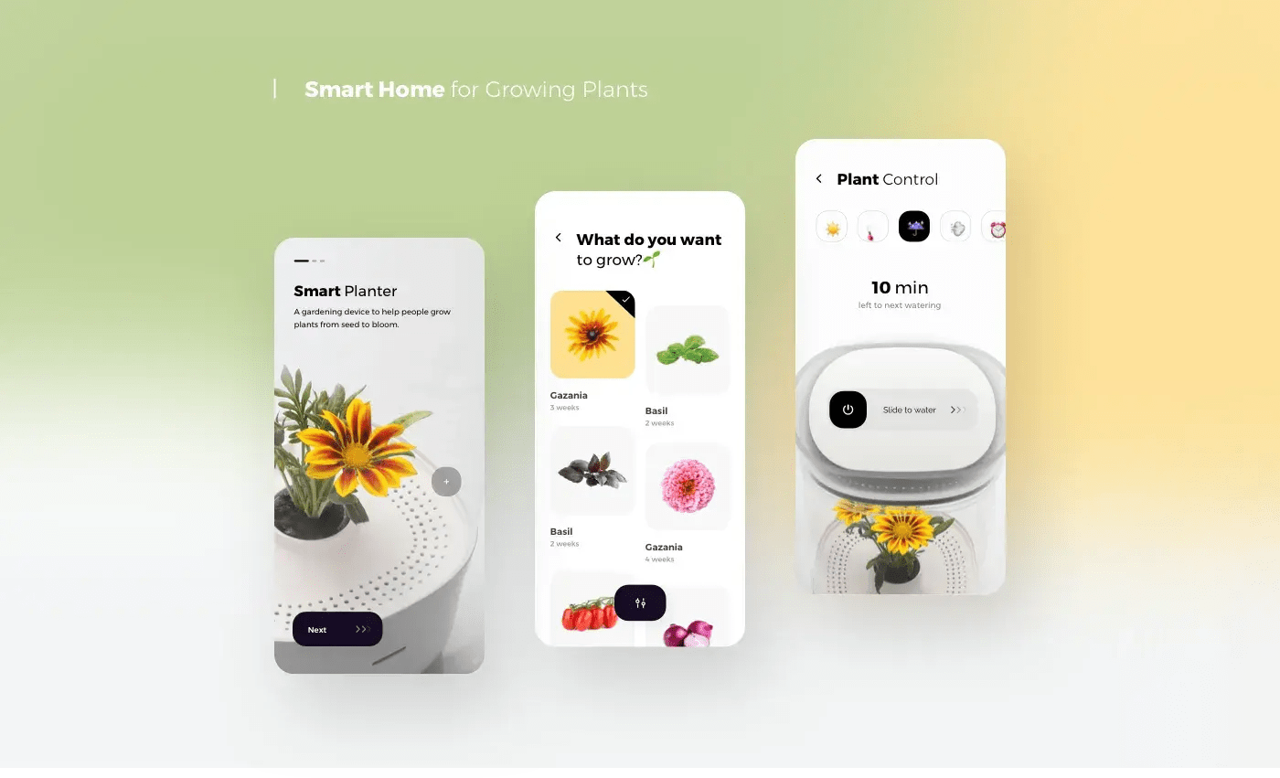 Concepts Pack Project - Branding & UX UI Design
