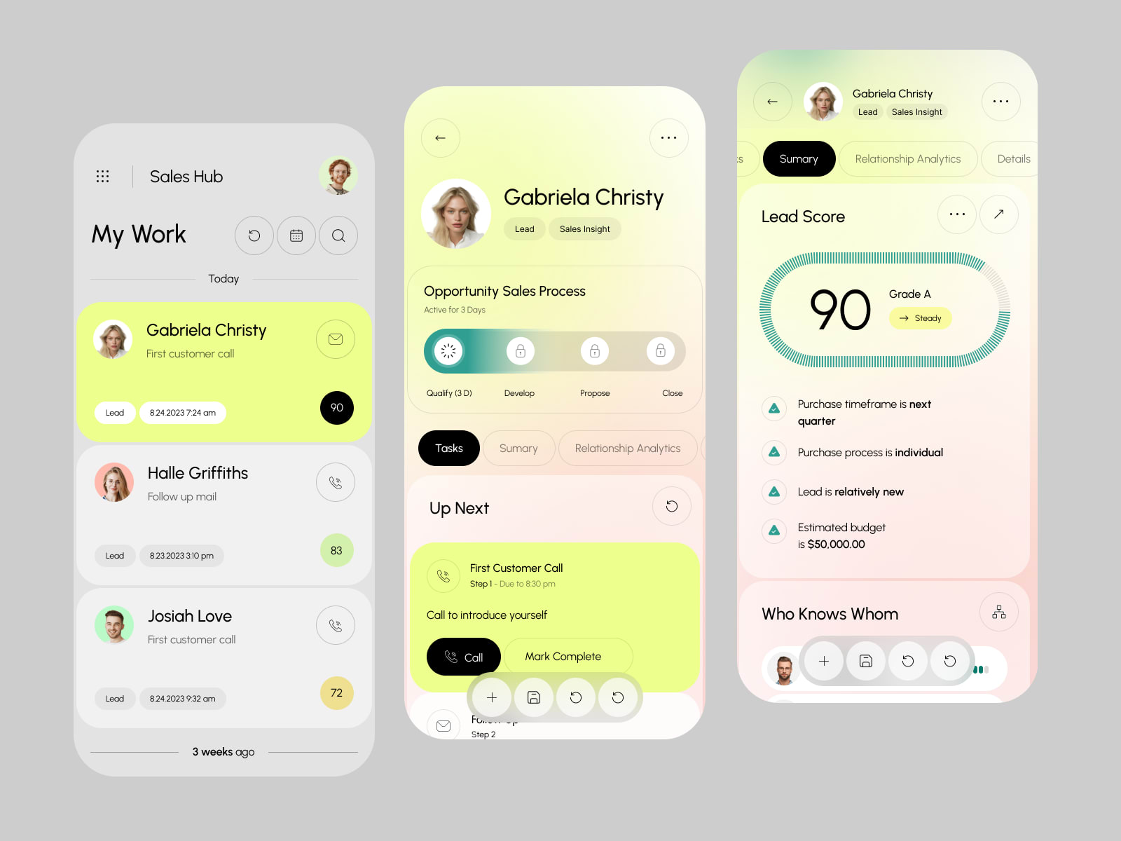 Dynamic 365 CRM - Sales Accelerator Dashboard