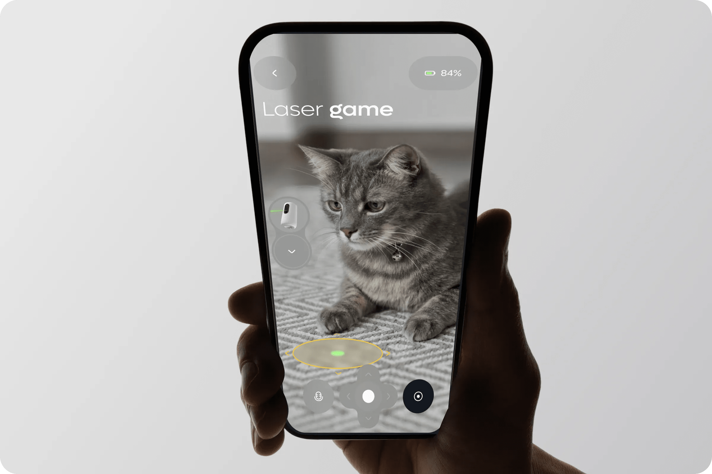 PetCam App Development Services