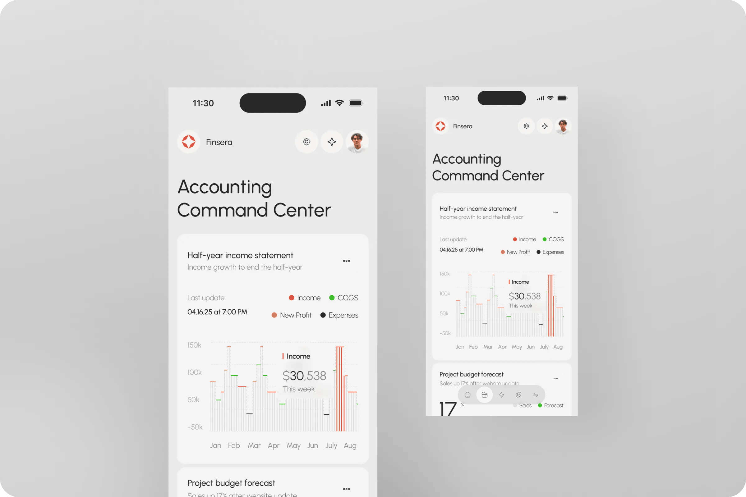 Expense tracking app interface