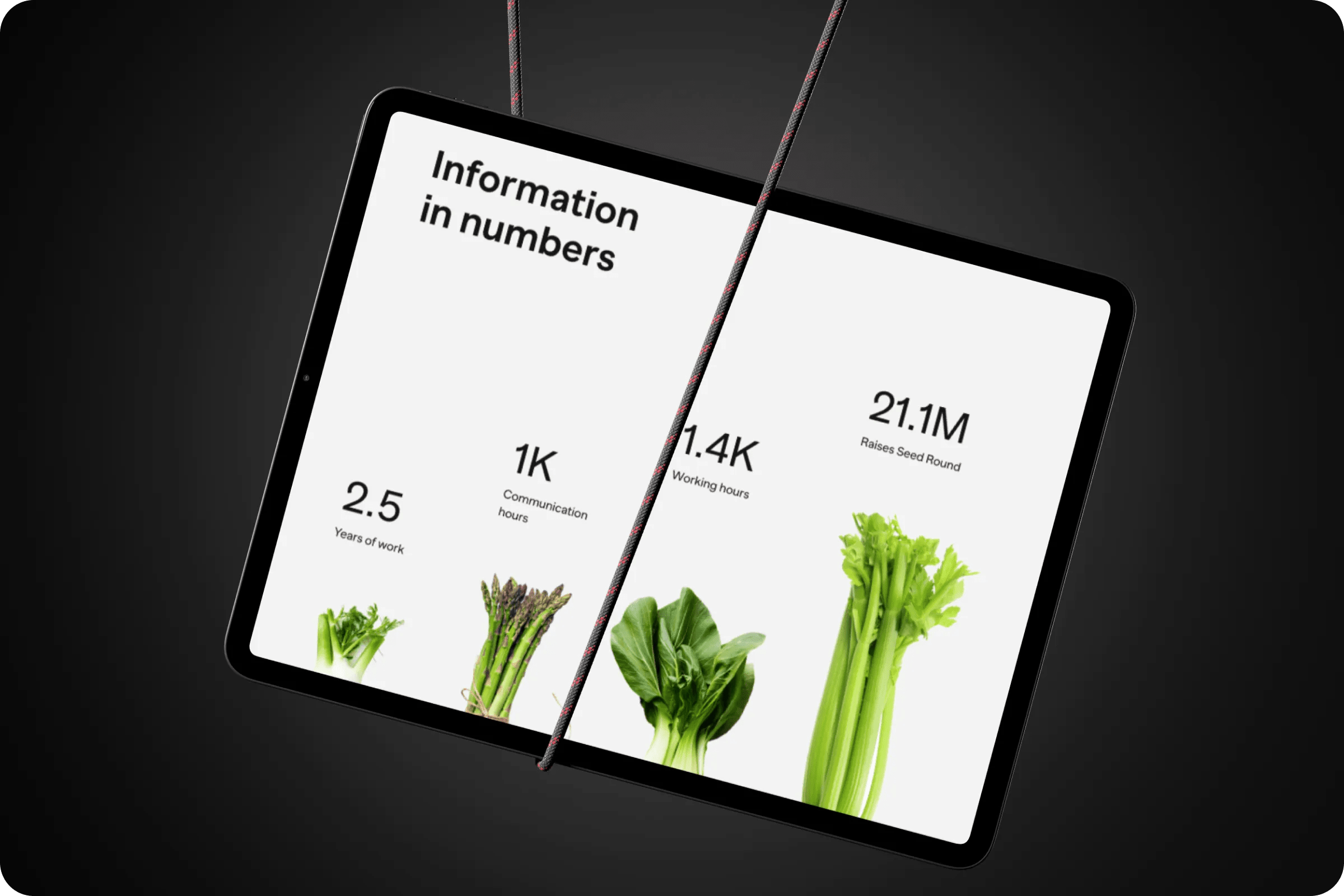 Lifestyle tracker website UI