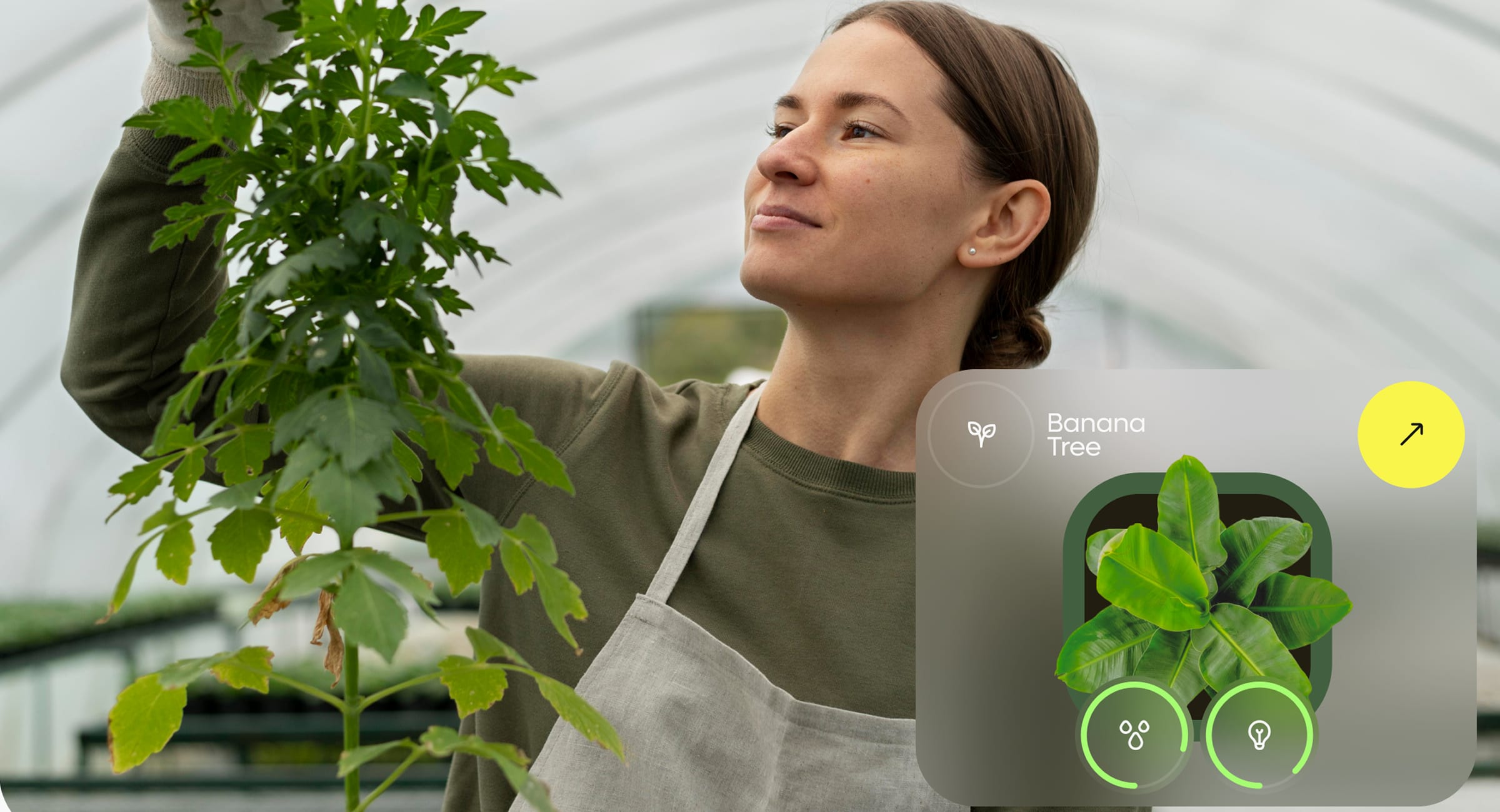 Gardenize App - Smart Mobile SaaS
