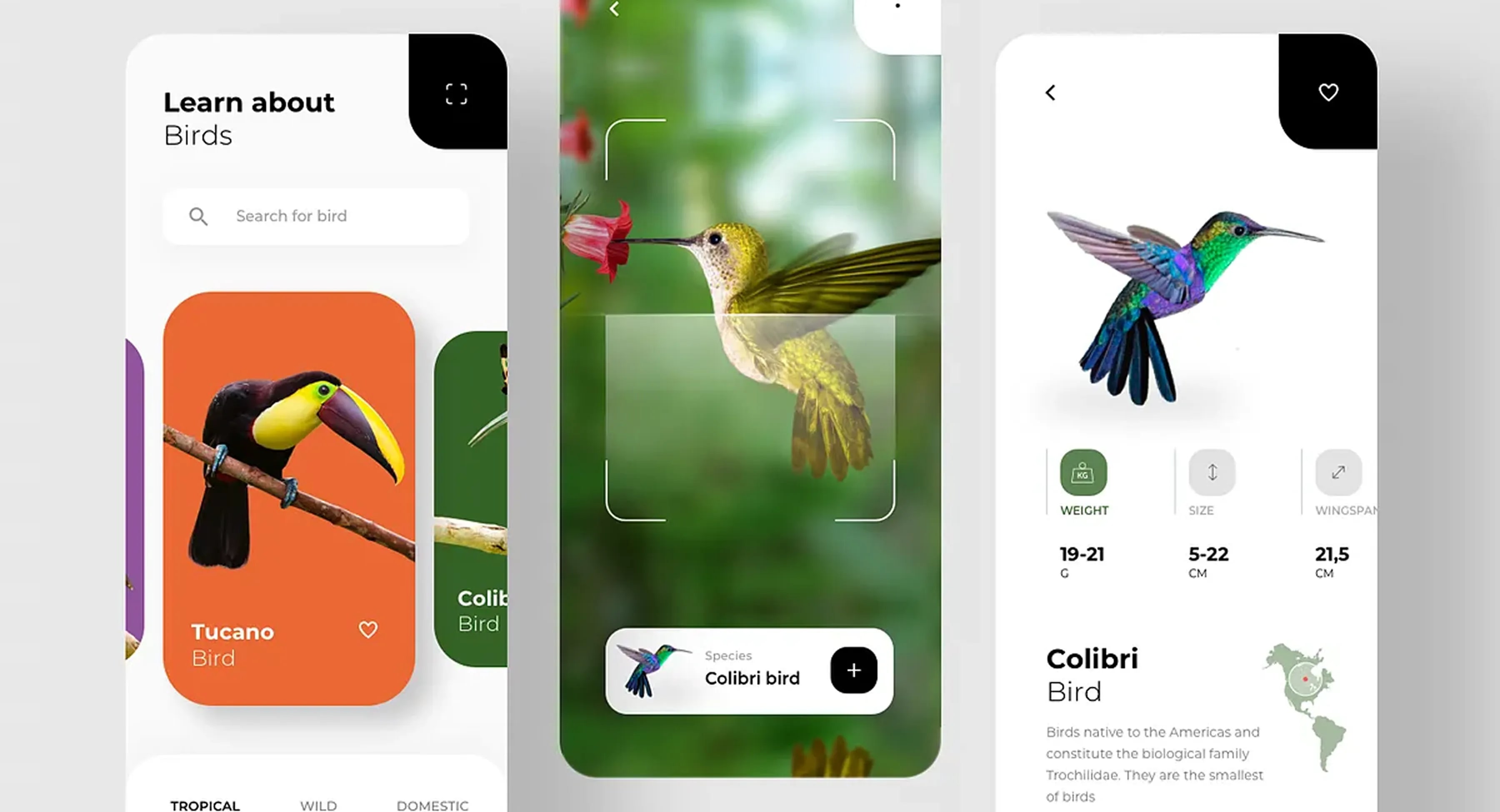 Bird Search With AR Scan