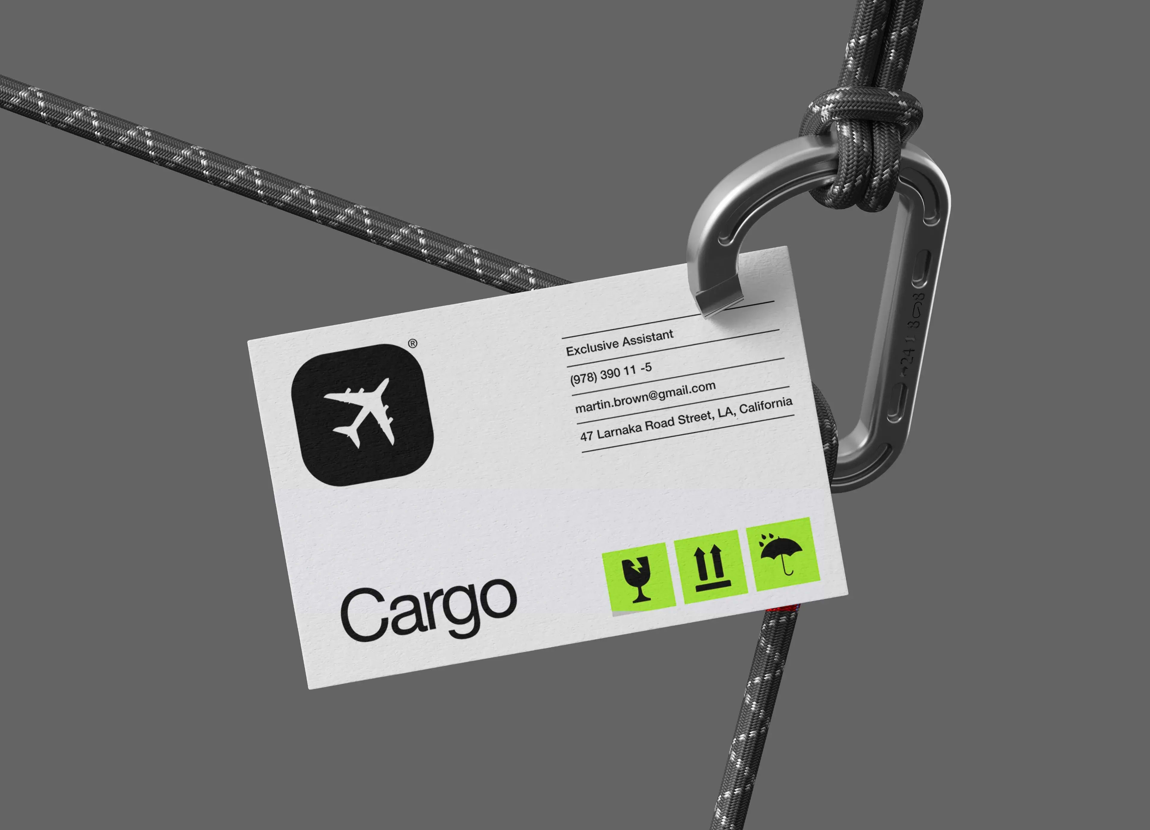 Screenshot of cargo management system UI showing contact information for an assistant.