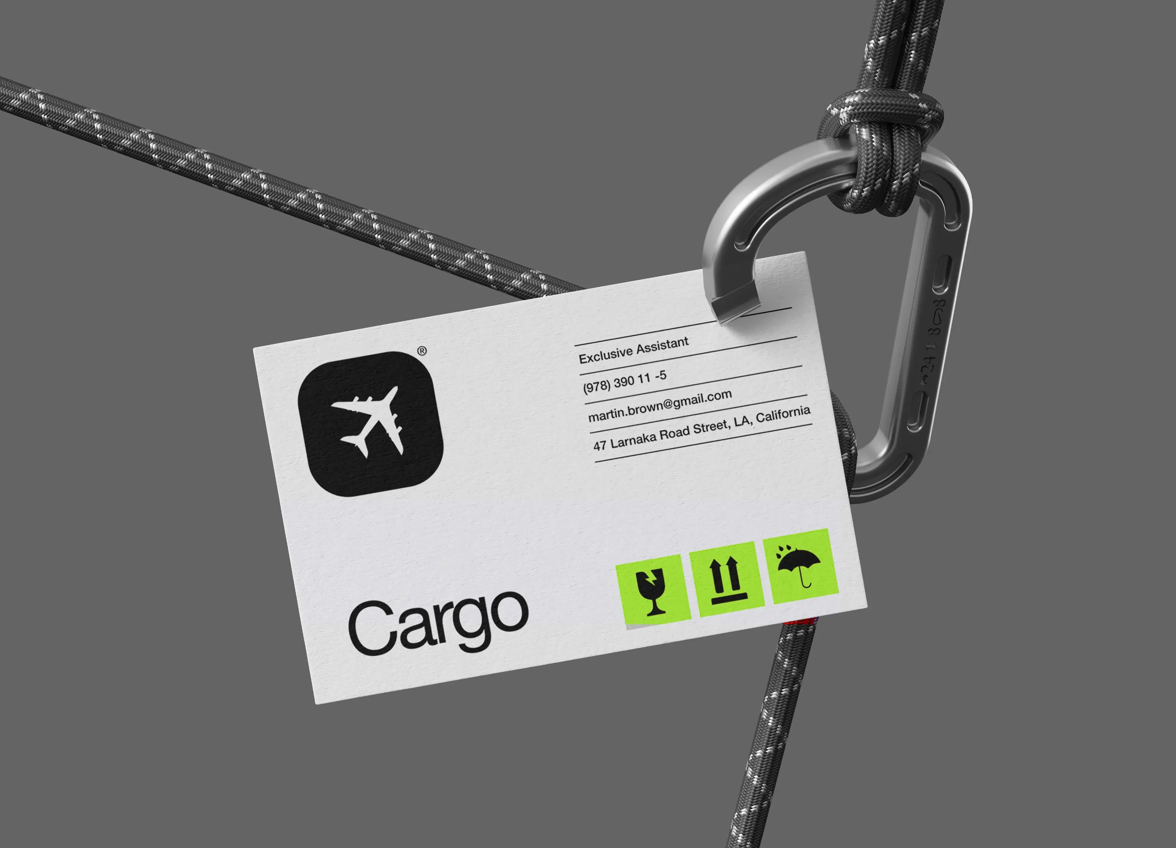 Screenshot of cargo management system UI showing contact information for an assistant.