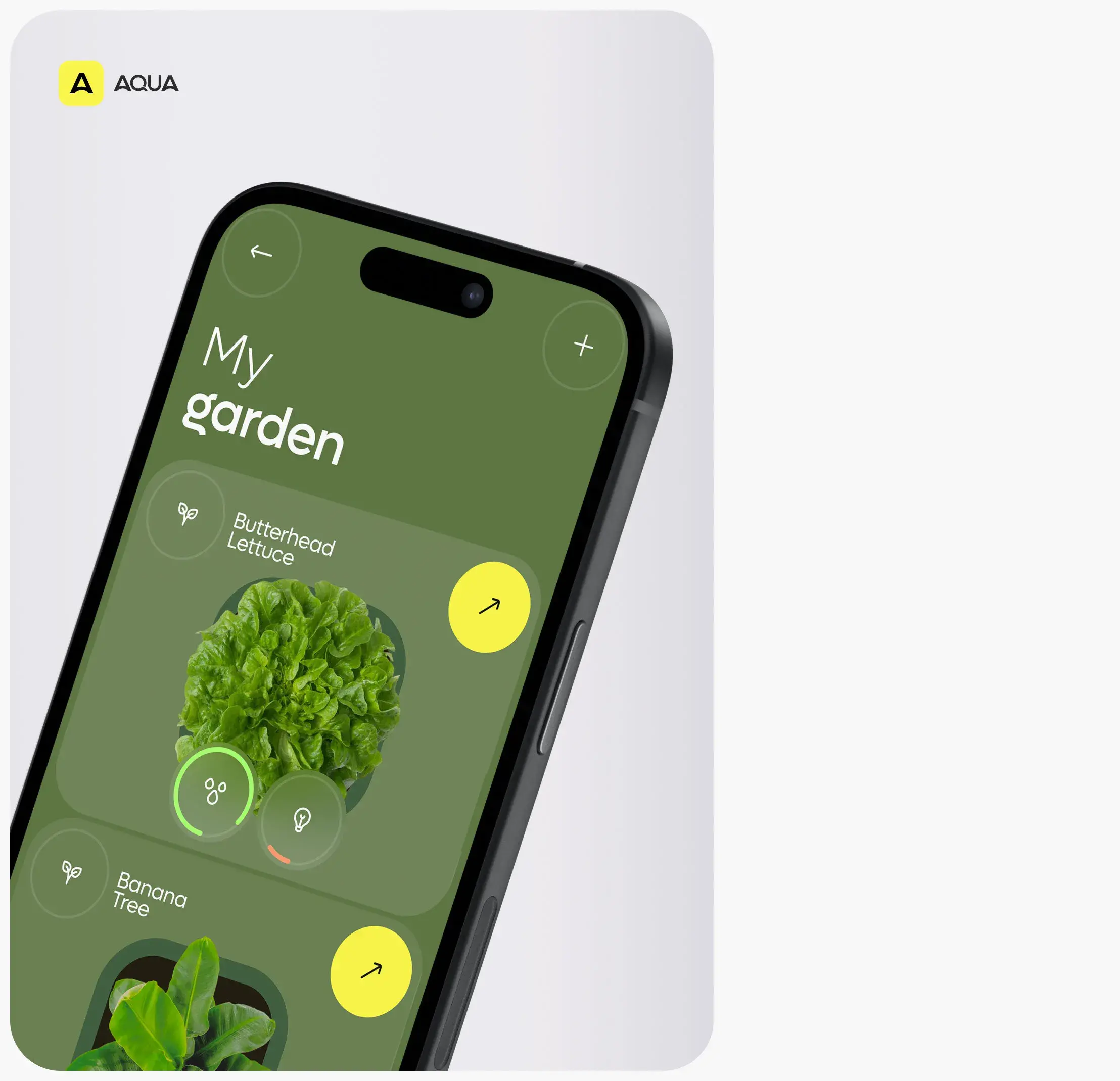 Web Design And Development Services | UX & UI Design