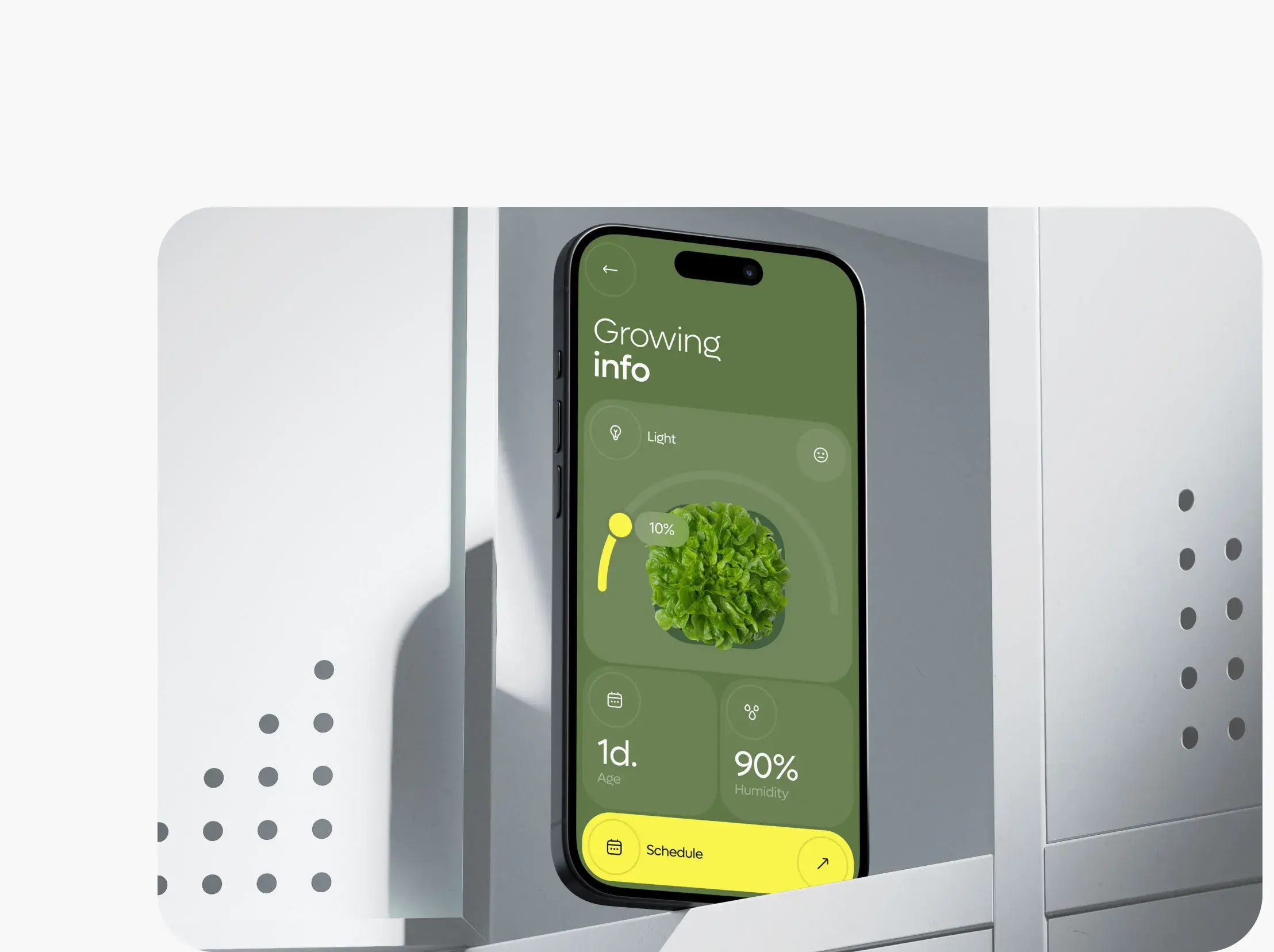 Mobile UX/UI Solutions