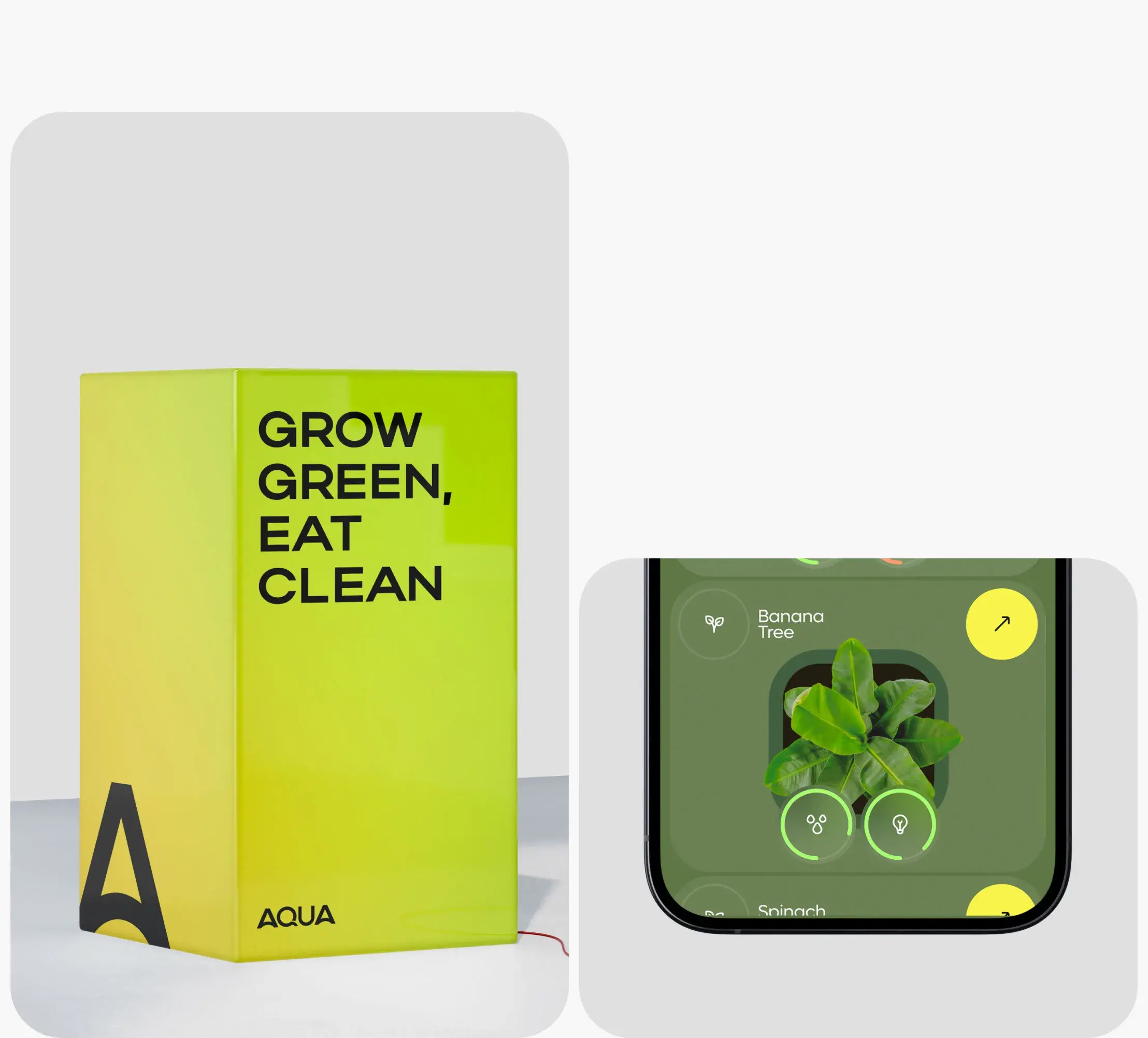 Mobile App Design & Development | UX & UI Design