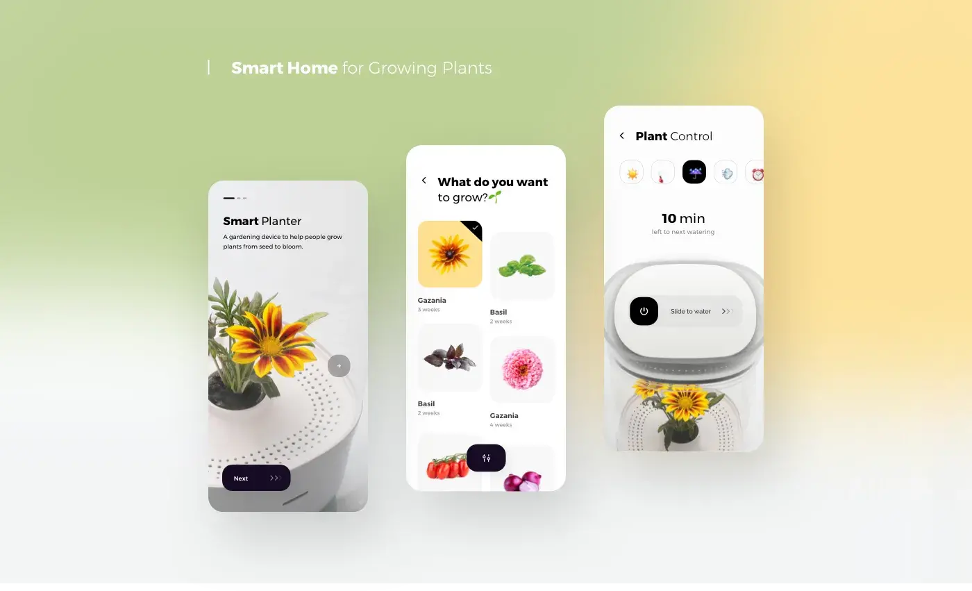 Concepts Pack Project - Branding & UX UI Design - 2