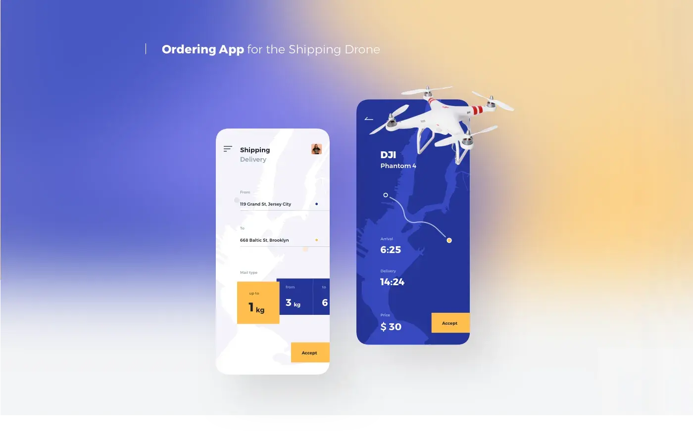 Concepts Pack Project - Branding & UX UI Design - 25