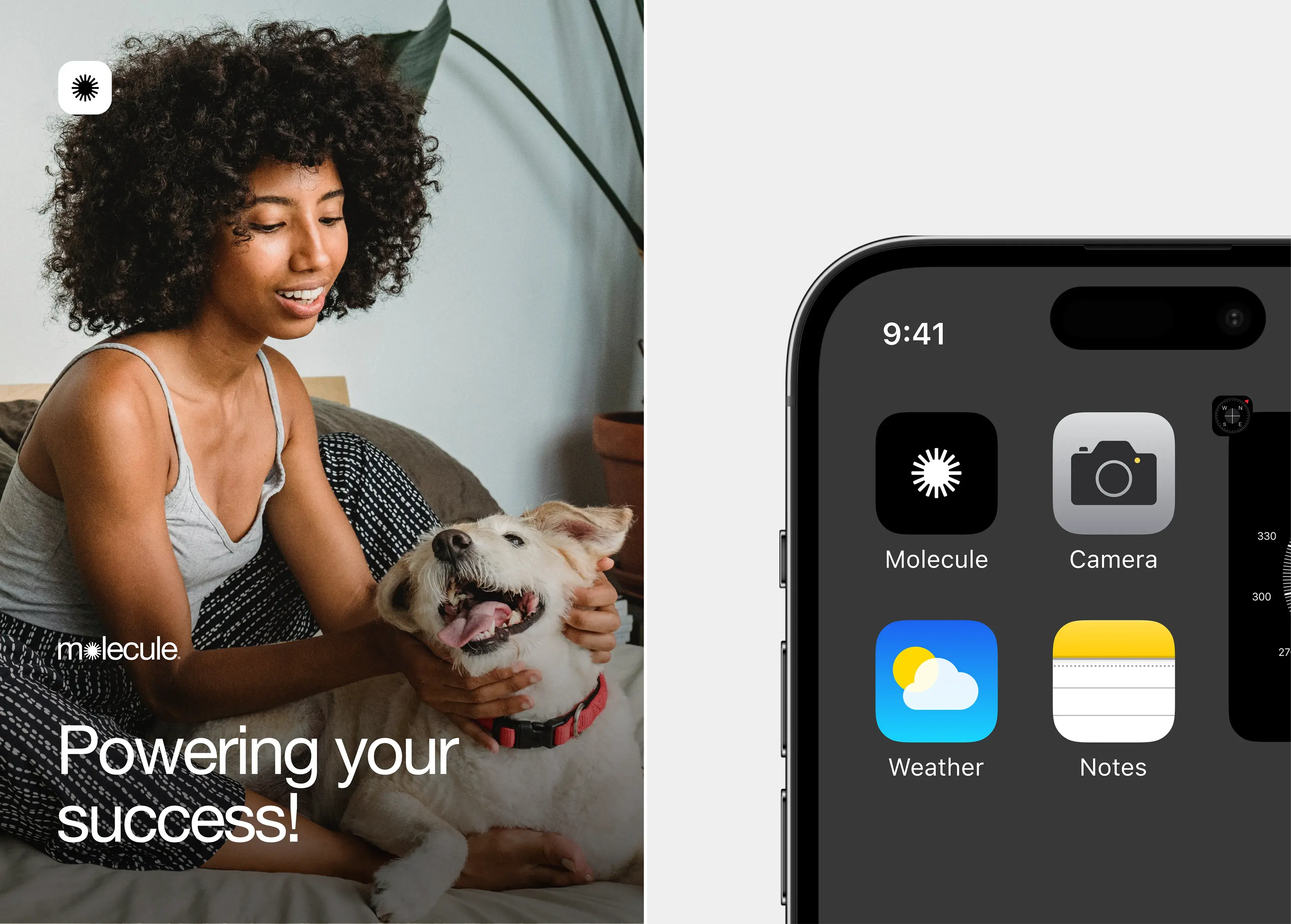 Screenshot of a mobile phone displaying the Molecule smart home app interface with the tagline 'Powering your success!'.