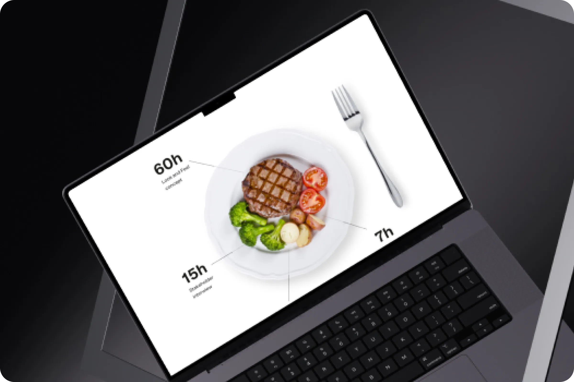 Wellness and lifestyle dashboard interface