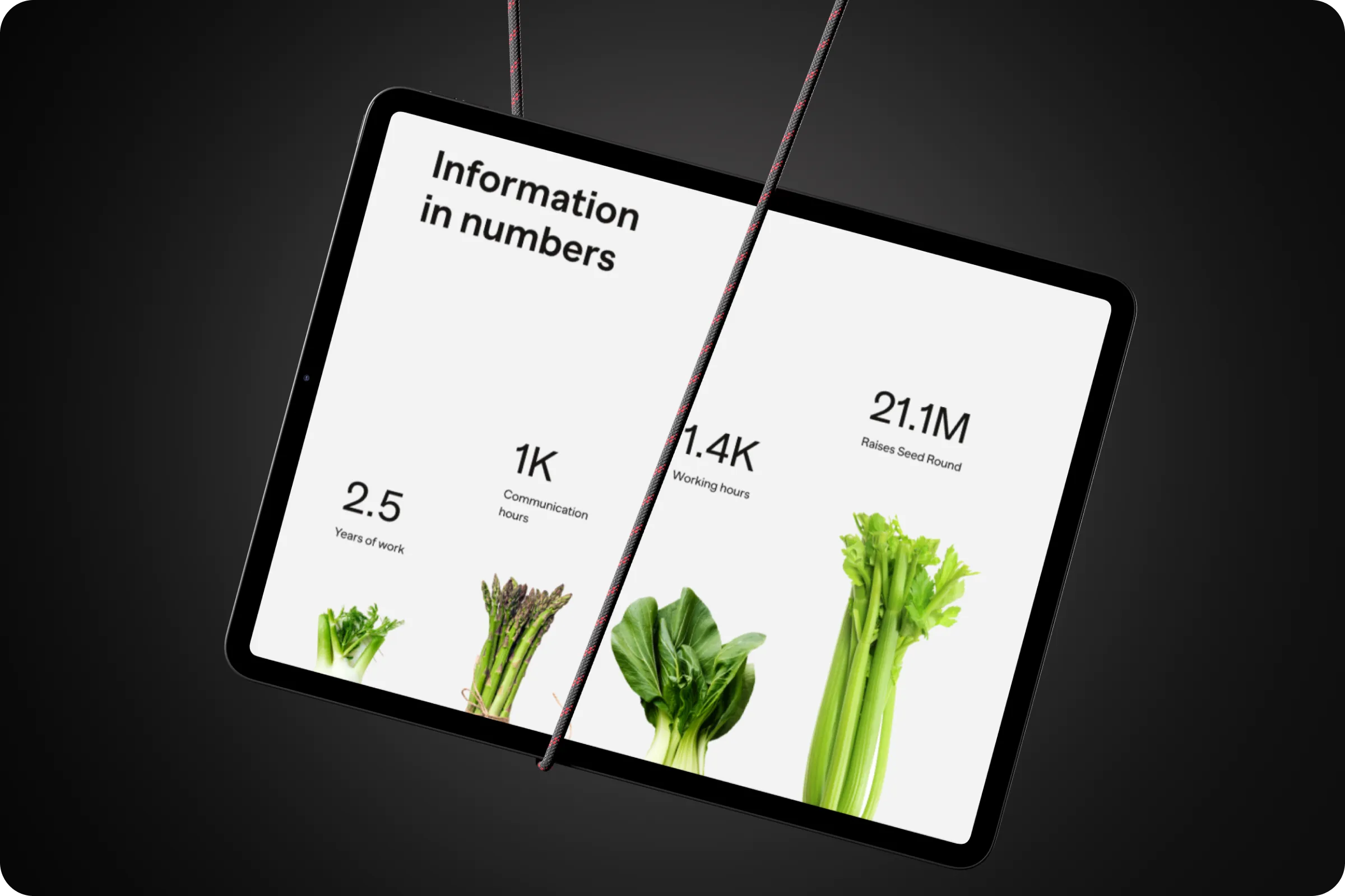 Lifestyle tracker website UI