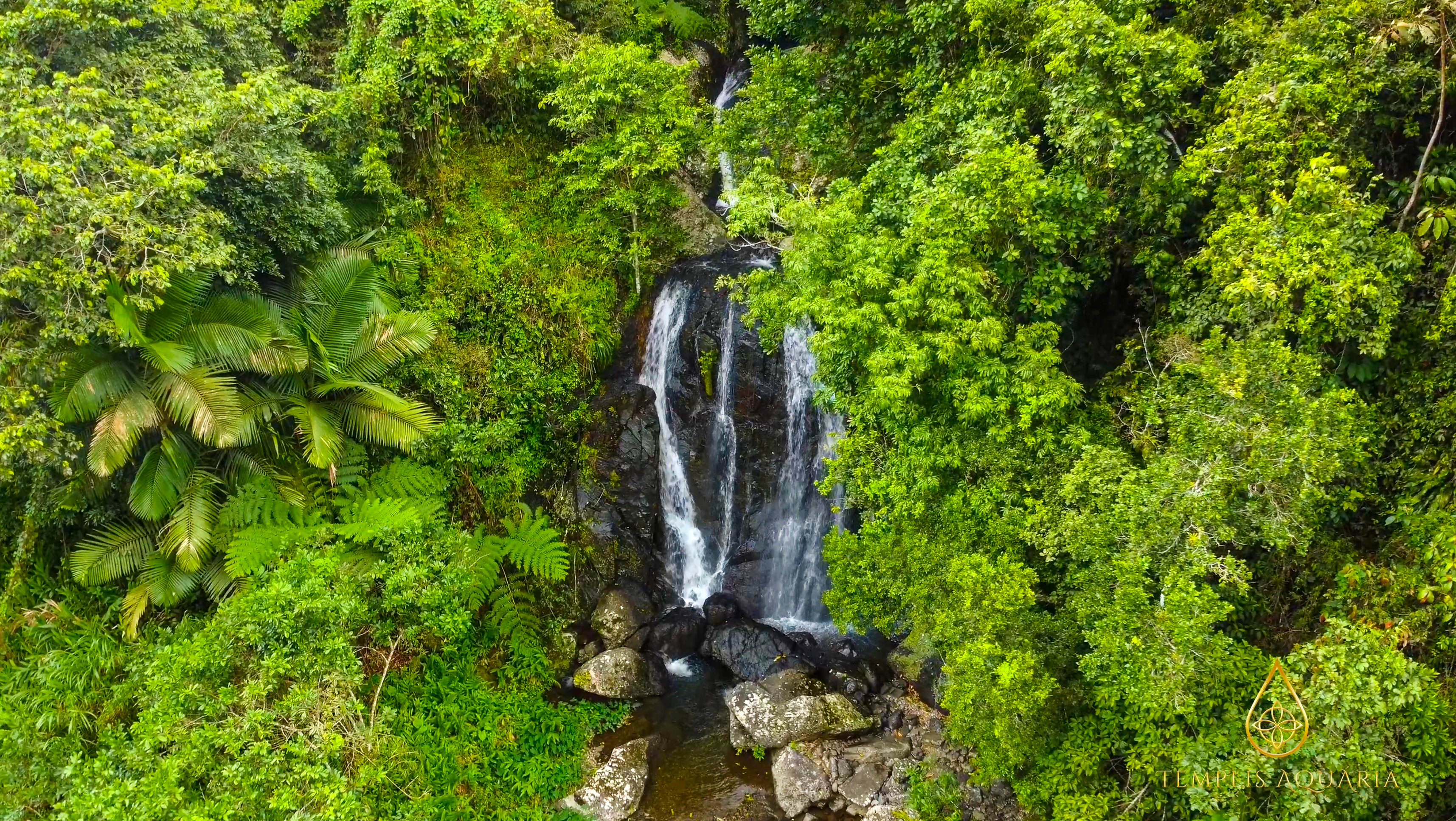 The sanctuary waterfalls from above