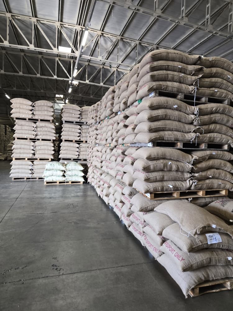 Green Acres export warehouse stacked with coffee sacks
